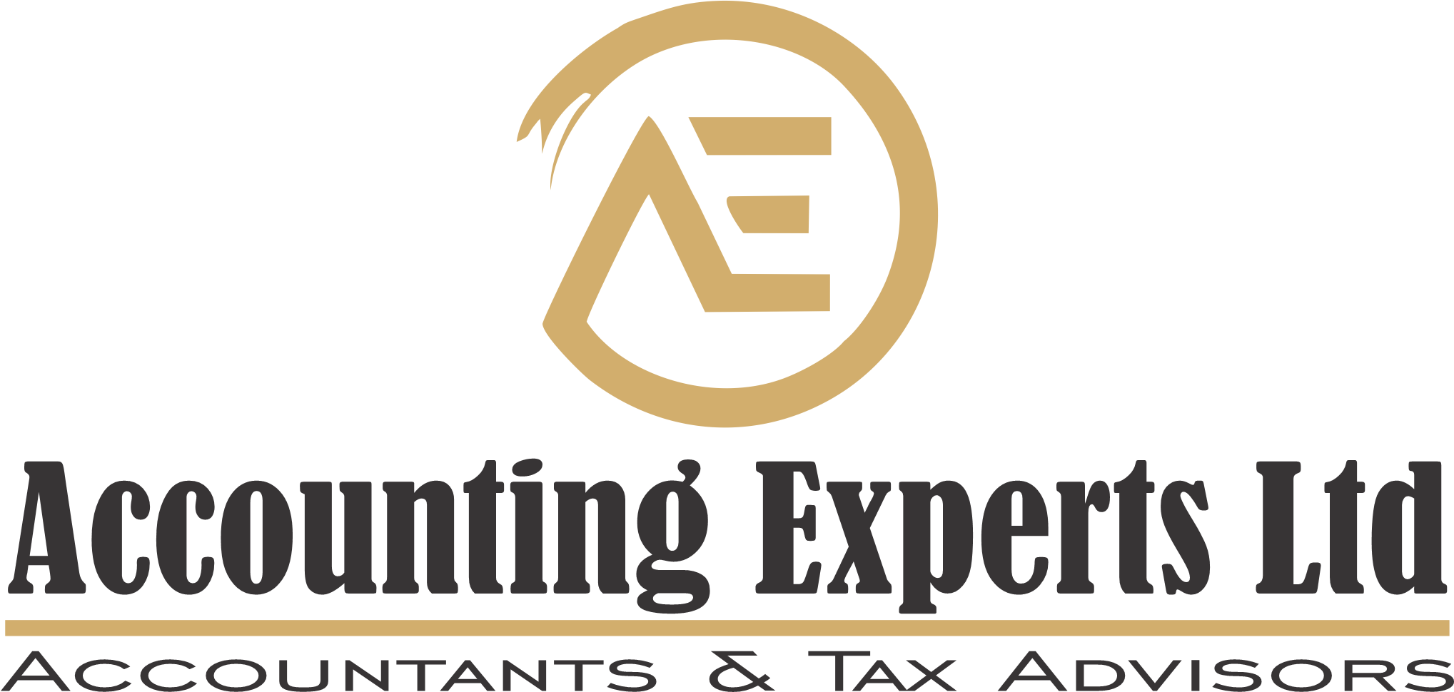 Accounting Experts Limited - Shradha Gupta logo